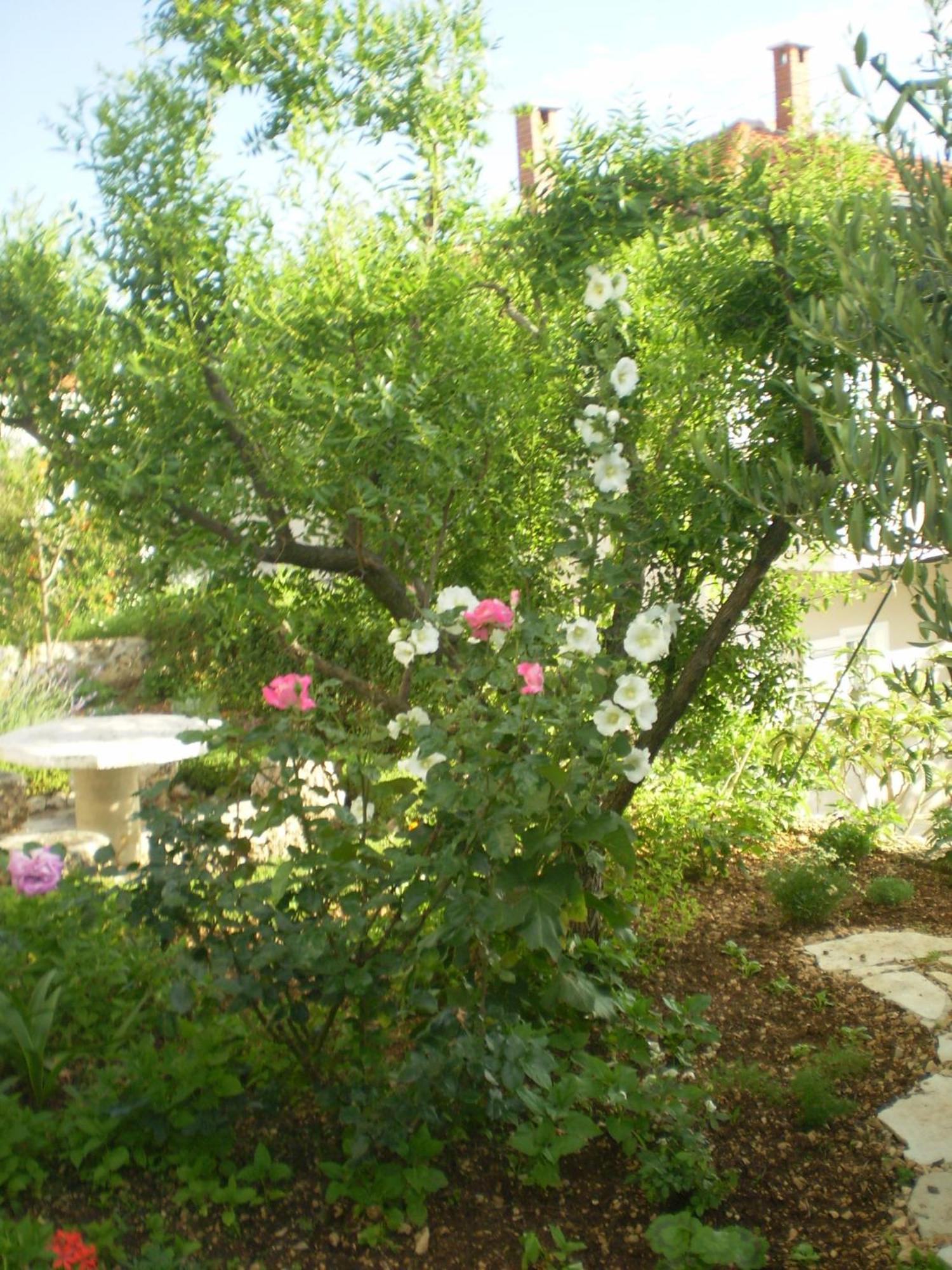 Apartmani Villa Marija Omiš Exteriör bild