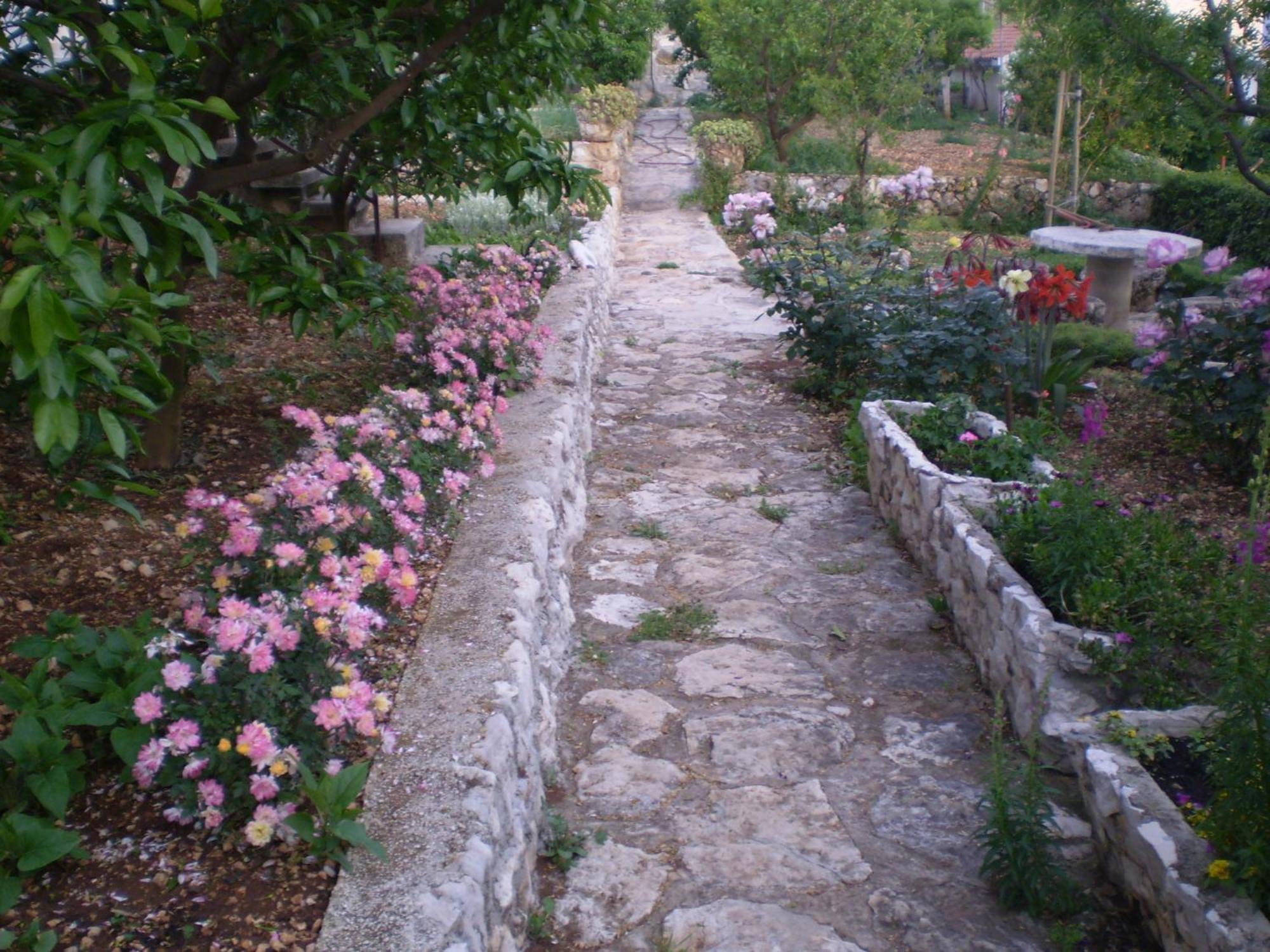 Apartmani Villa Marija Omiš Exteriör bild